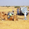[jeep&camel safari]