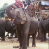 [Chiang Rai]