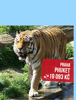 Zpáteční letenka Praha - Phuket od 19 093 Kč